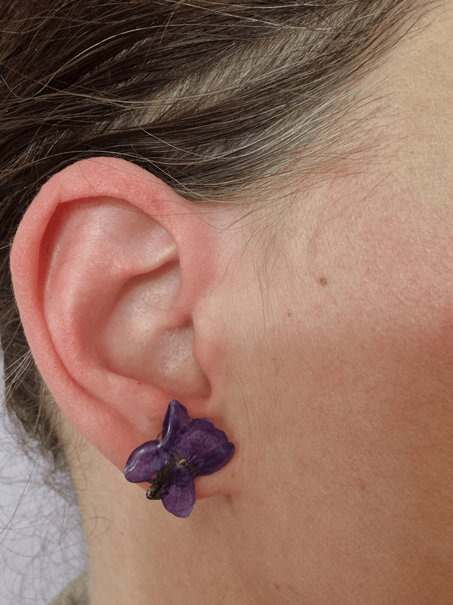 Boucles oreilles, clou avec véritables fleurs de violette
