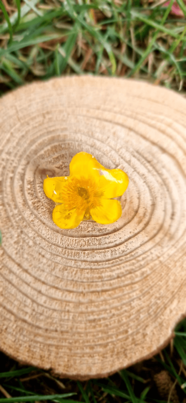 Pin's Flower