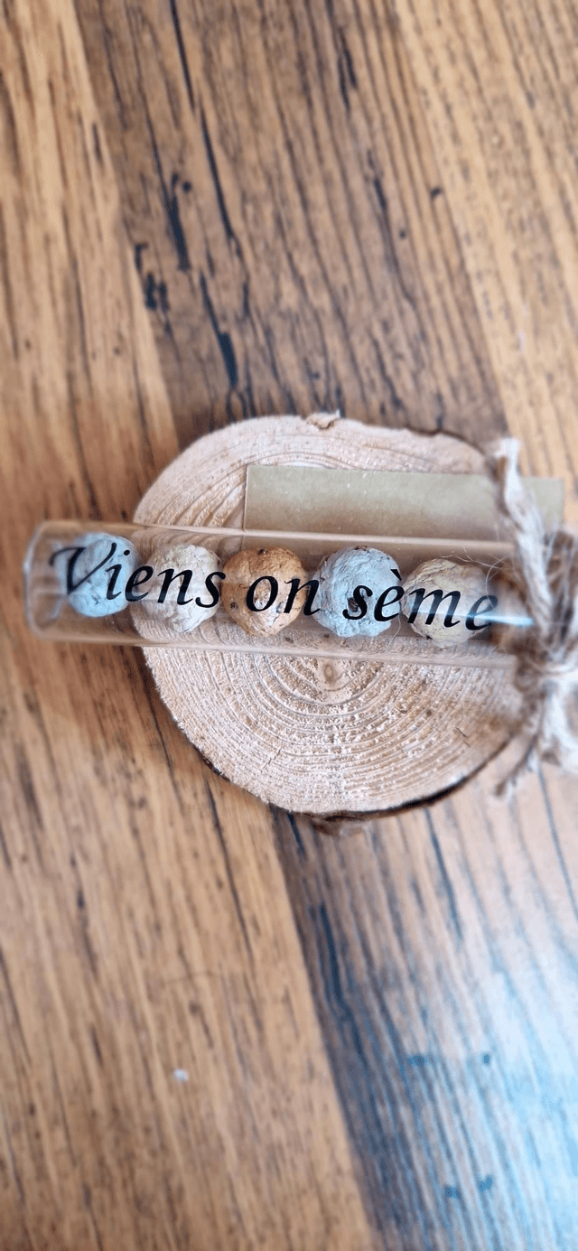 "Viens on sème " Bombes de graines 