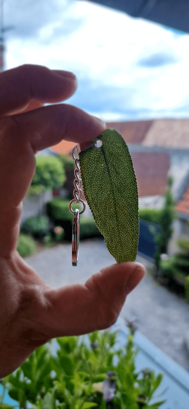 Porte clés -grigri Sauge officinale 