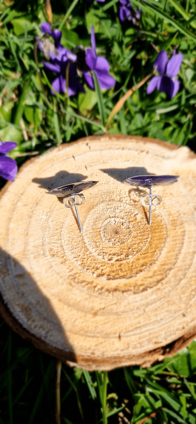 Boucles oreilles, clou avec véritables fleurs de violette