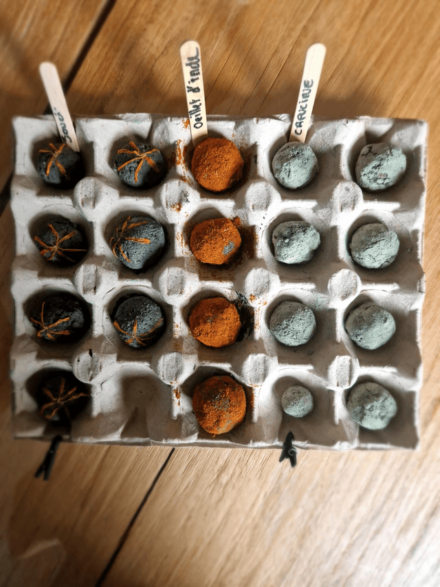 C'est de la Bombe ! Au potager
