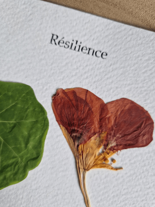 Herbier "Résilience" fleur séchée et pressée 