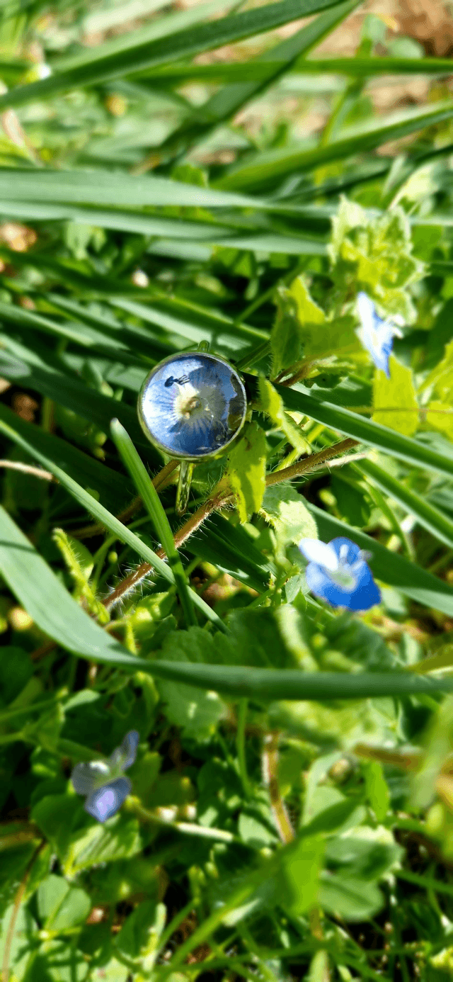 La Bague "Véronica"