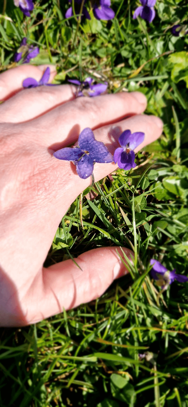 Bague "La violette"  avec une véritable fleur 