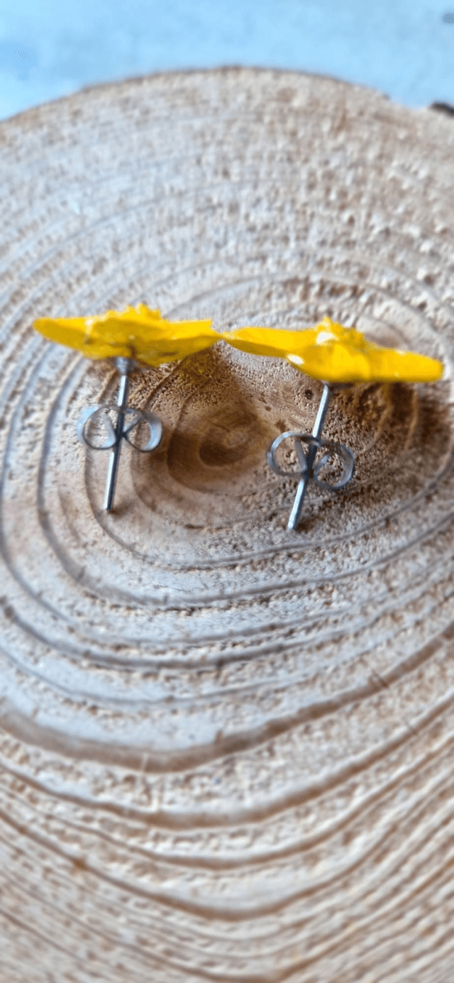 Boucles oreilles puces Bouton d'or