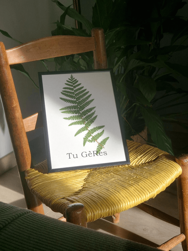 Herbier "Tu Gères" la Fougère