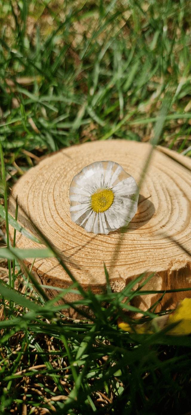 Pin's Flower