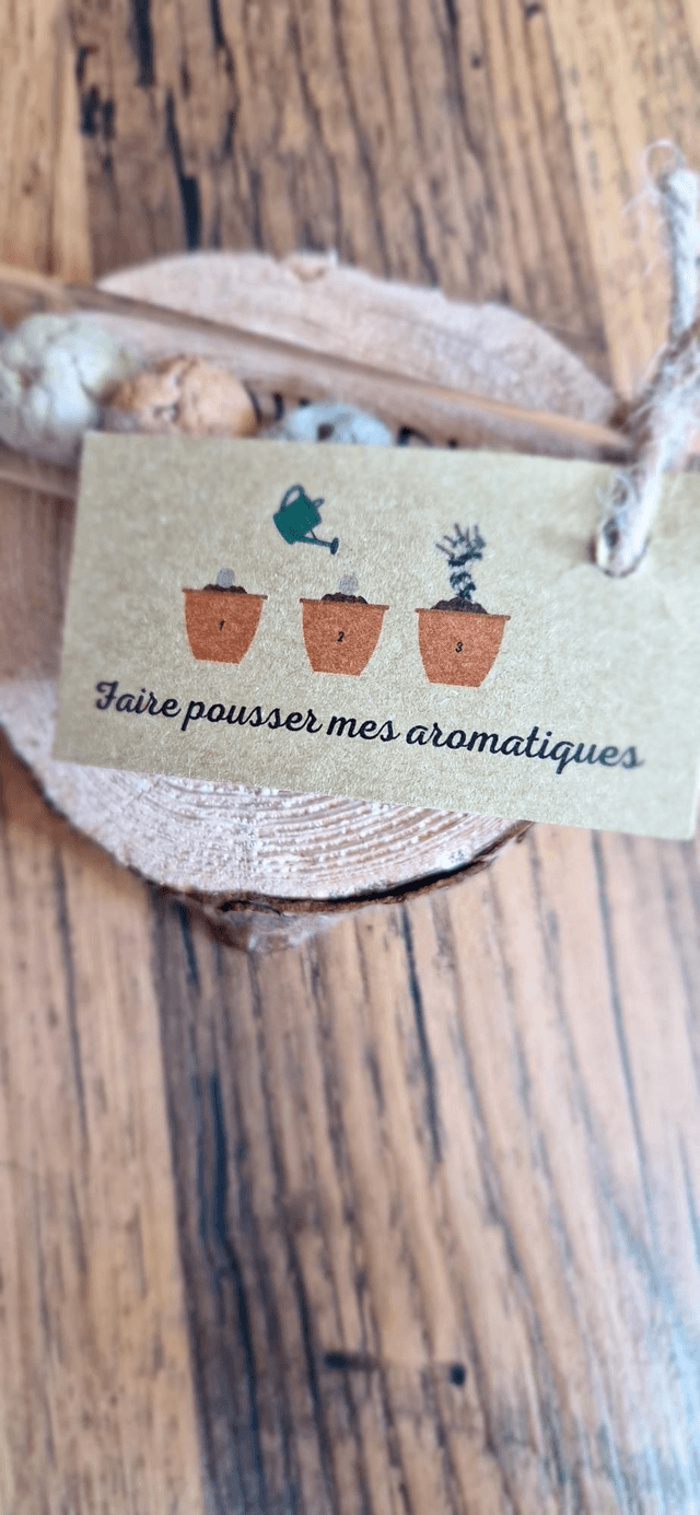 "Viens on sème " Bombes de graines 