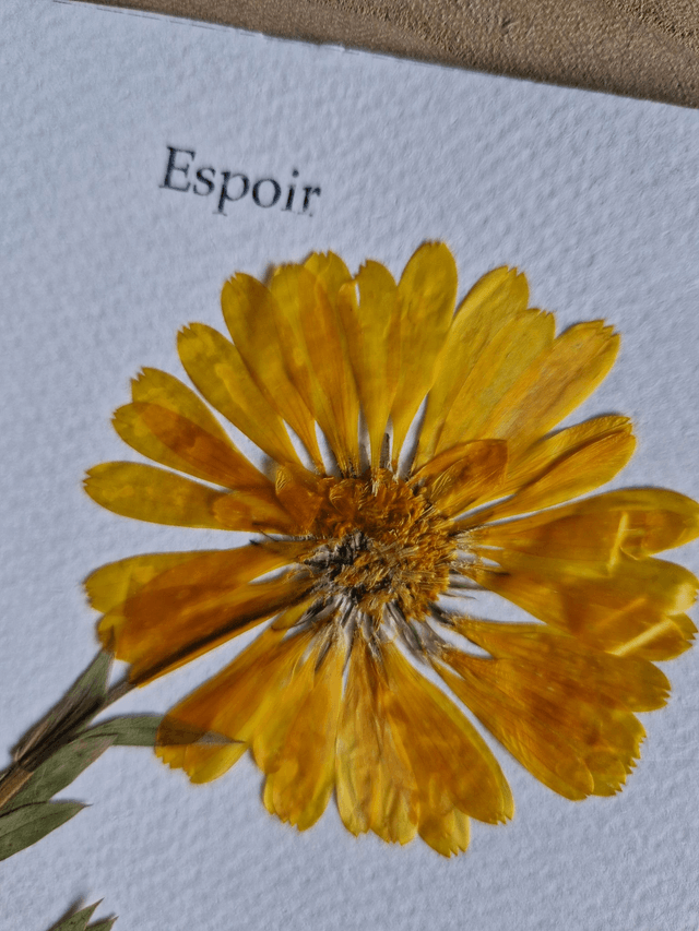 Herbier "Espoir" fleur séchée et pressée