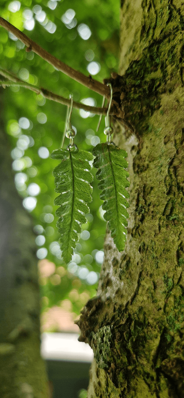 Boucles oreilles &quot;Balade en Forêt &quot;