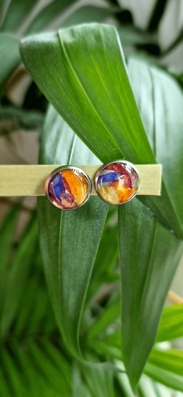 Boucles oreilles arc en ciel puces