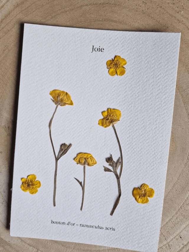 Herbier &quot;Joie &quot;fleurs séchées et pressées