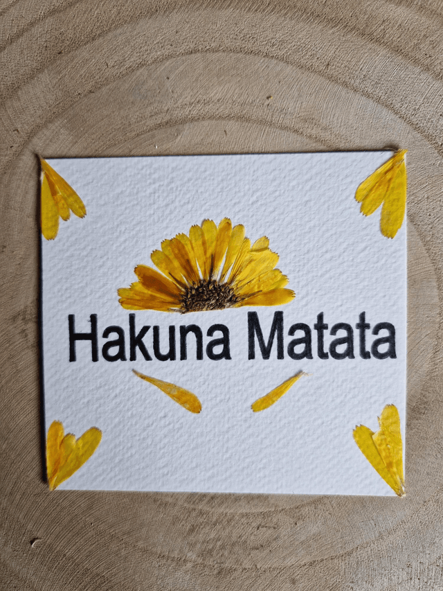 Carte &quot;Hakuna Matata&quot;
